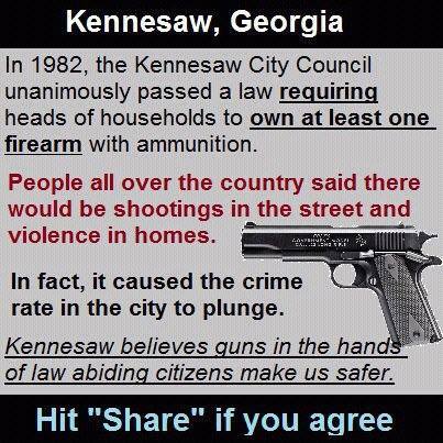 Liberal Gun Grabbers Exposed to the Inconvenient Truth on Mass Gun