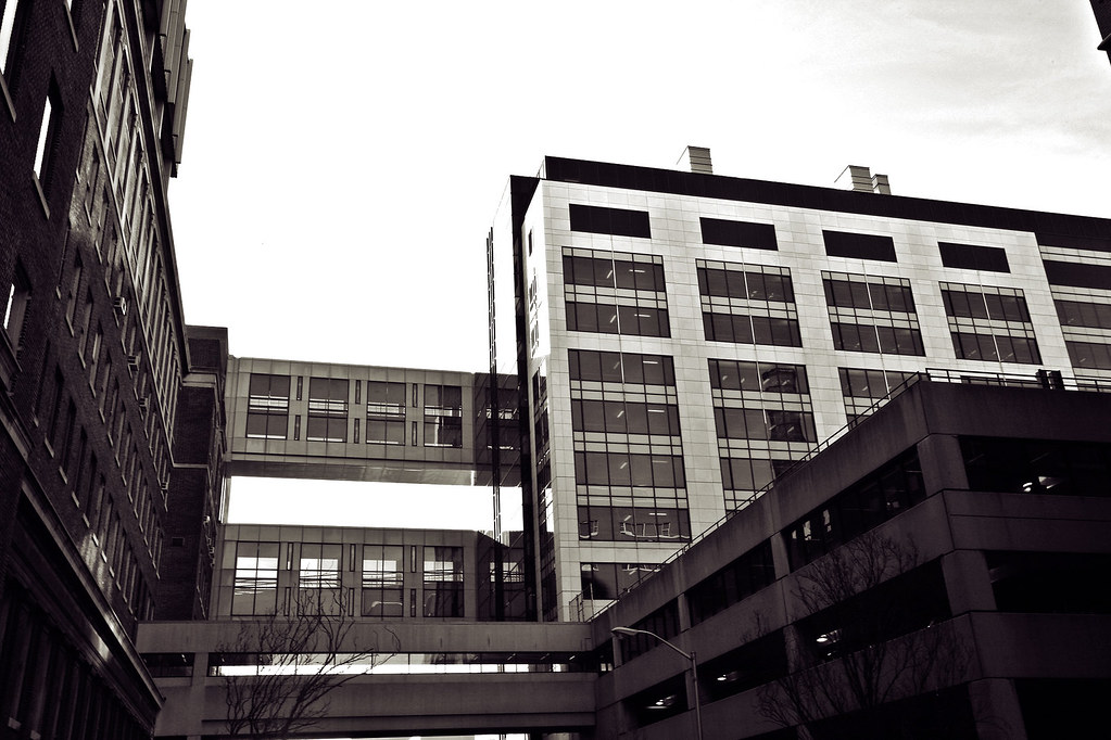 Johns Hopkins DEI Blasted for ‘Privilege’ List, Offers Apology