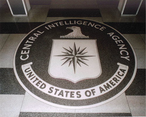 Ex-CIA Analyst: Intel Agencies Active in 2024 Election