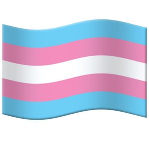 Trans-Pride-Flag-Emoji-full-size