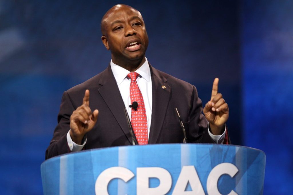 Tim Scott on VP Talk with Trump: ‘Only Thing Is…’