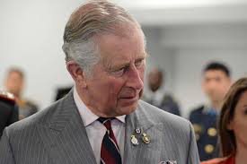 Harry’s Spotlight Habit: Palace Insiders Say It May Block Family Reunification