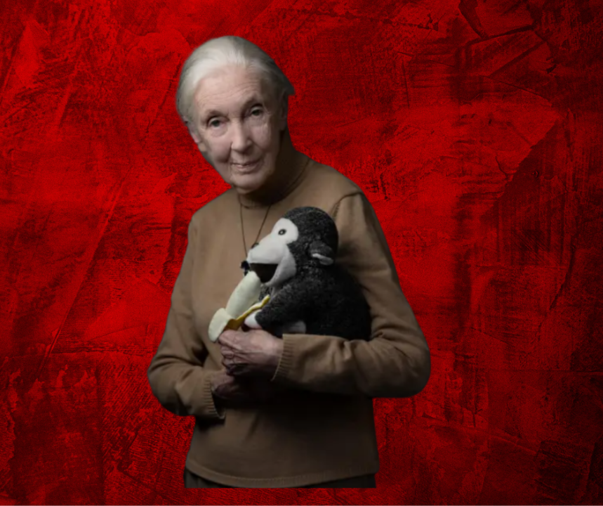 Renowned Primatologist Jane Goodall Dies at 91